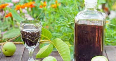 Pomembna sestavina domačega jagermajstra so zeleni orehi