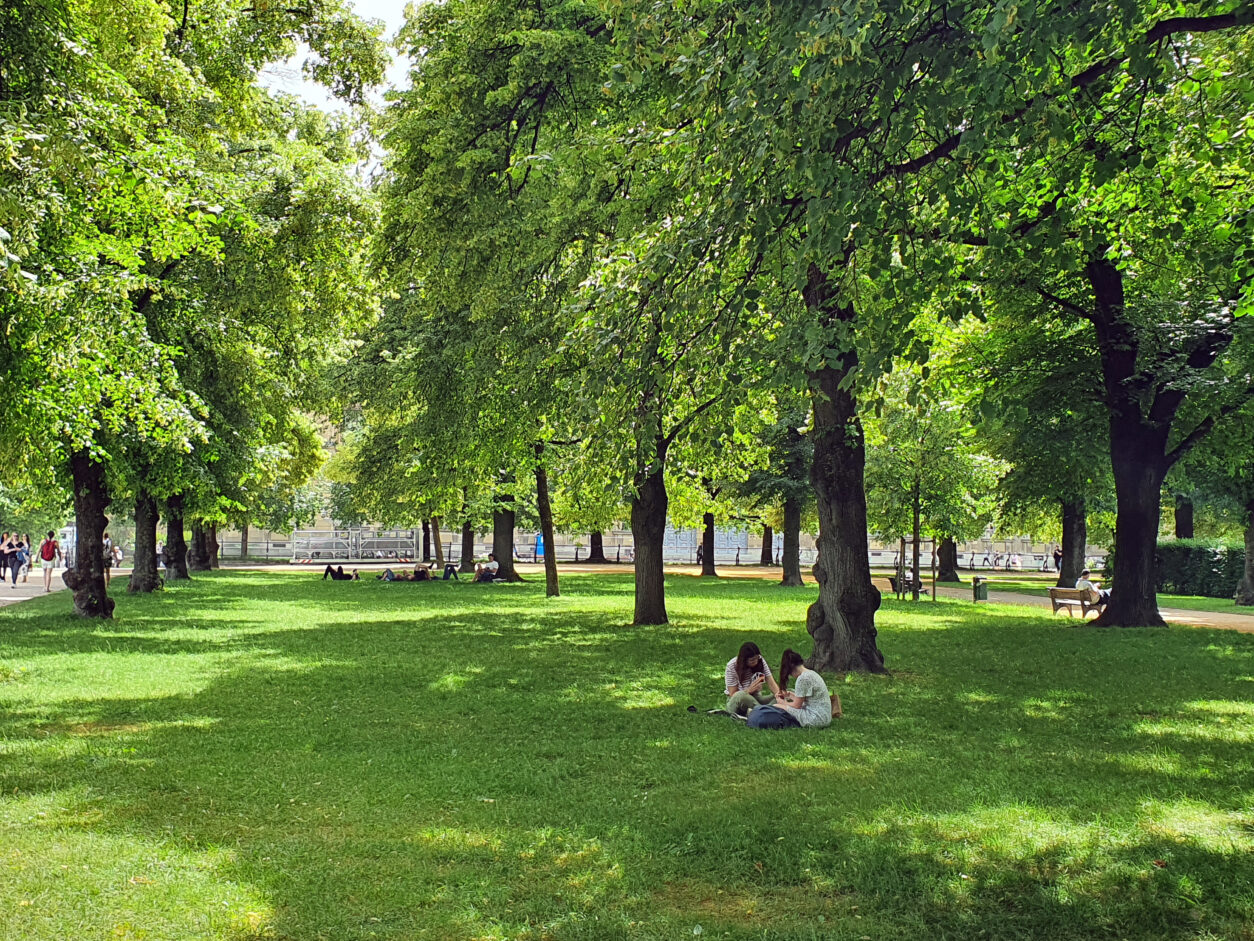 Pomen dreves v urbanem okolju