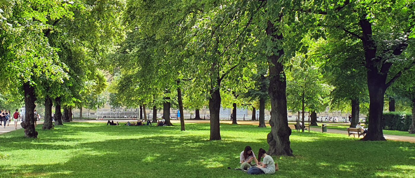 Pomen dreves v urbanem okolju