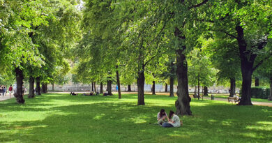 Pomen dreves v urbanem okolju