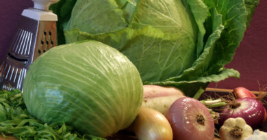 Priprava Varaždinskega zelja za kisanje