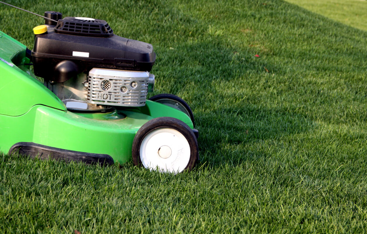 Redna košnja trate je osnova za zdravo, gosto in lepo vrtno zelenico