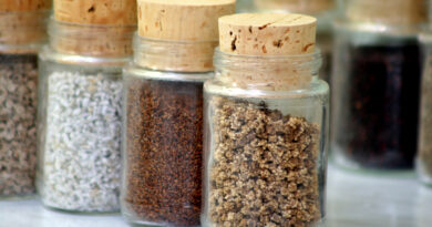 Semena hranimo v steklenih kozarčkih, papirnatih vrečkah ali platnenih vrečkah