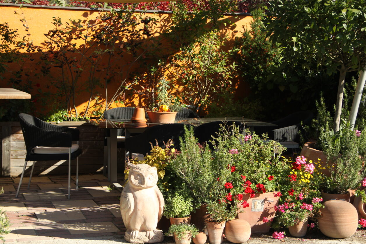 Sončna jesenska terasa s cvetočimi enoletnicami in zelišči v loncih – pravi čas za pripravo rastlin na prezimovanje.