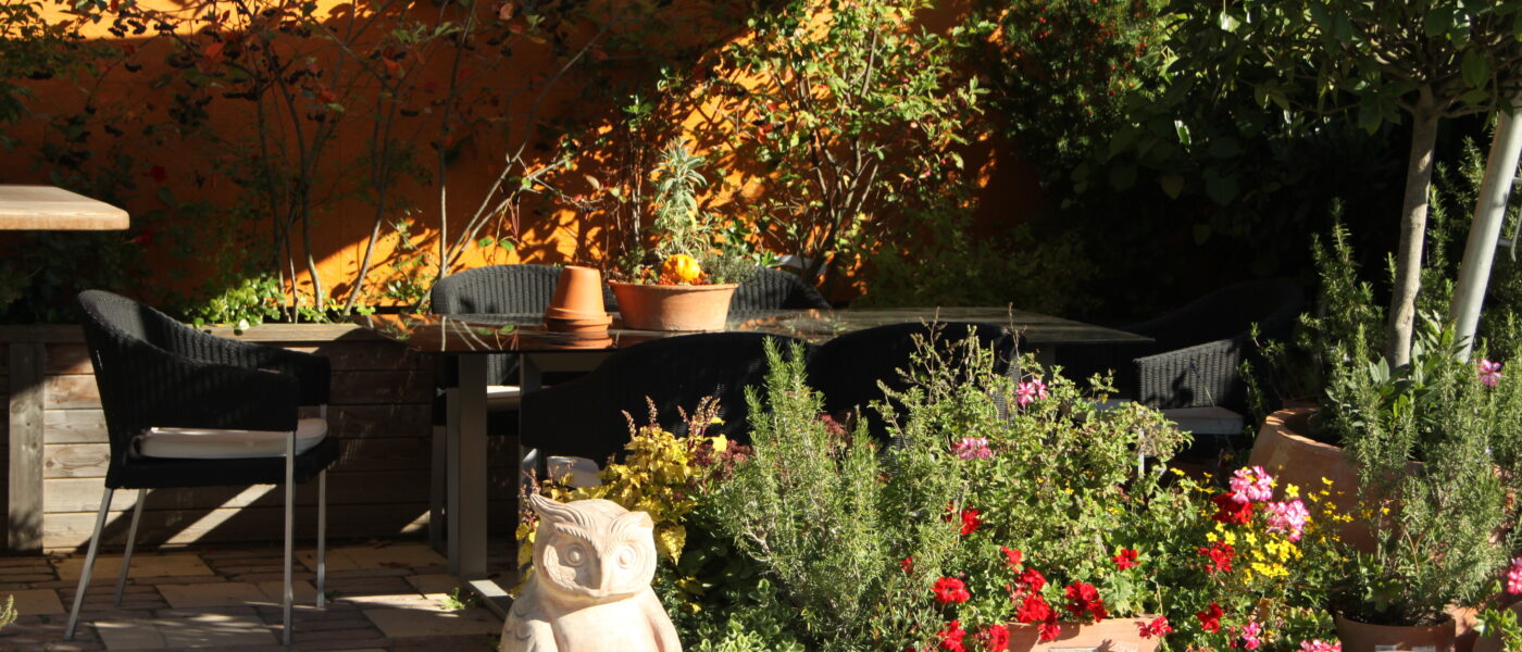 Sončna jesenska terasa s cvetočimi enoletnicami in zelišči v loncih – pravi čas za pripravo rastlin na prezimovanje.