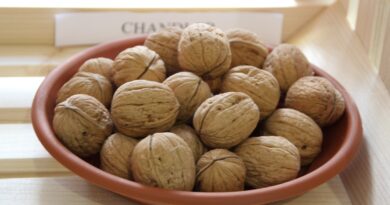 Chandler - Ena izmed najbolj znanih in razširjenih sort po svetu