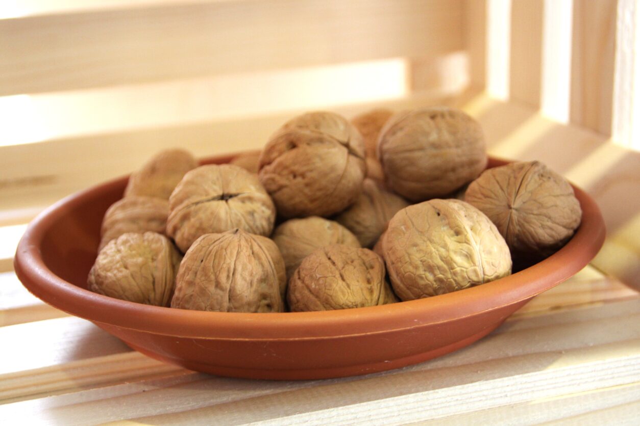 Fernette - Sorta oreha, ki se odlično ujema kot opraševalec za Fernor