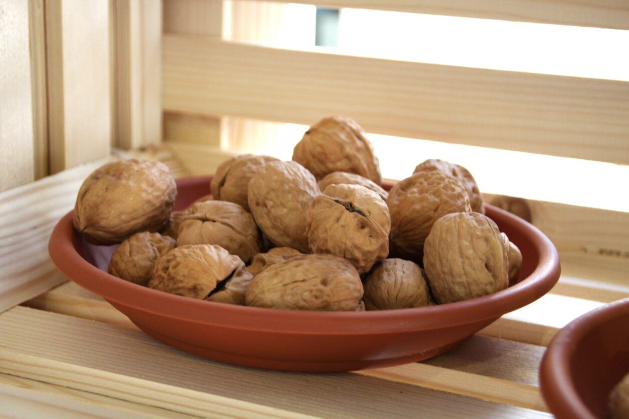 Fernor - Francoska sorta oreha, križanec, poznana po visoki odpornosti proti pozebi in boleznim