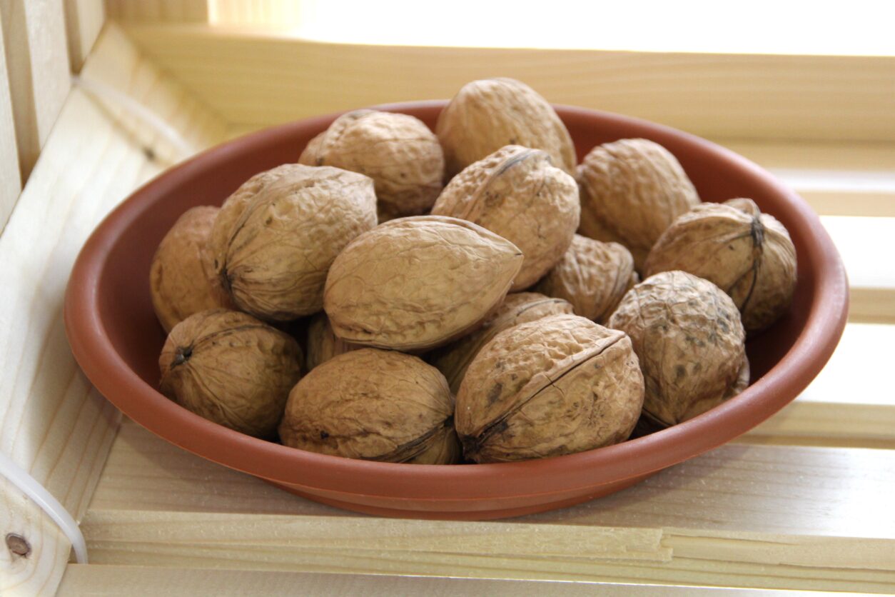 Rasna - Slovenska sorta oreha, vzgojena na Kmetijskem inštitutu Slovenije