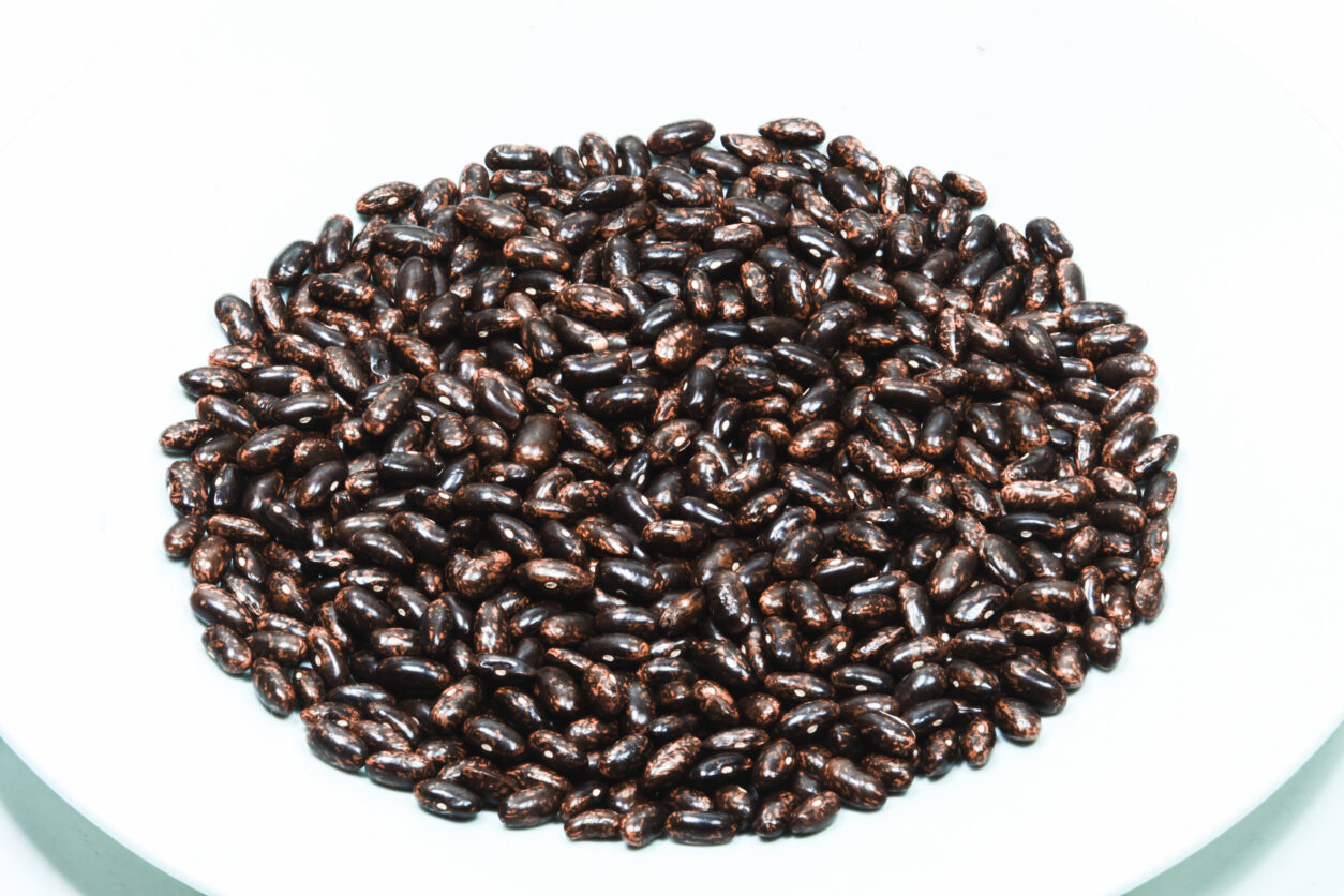 »Turški fižol«, »Tetovac«, ali katero izmed tradicionalnih slovenskih pisanih sort nizkega fižola