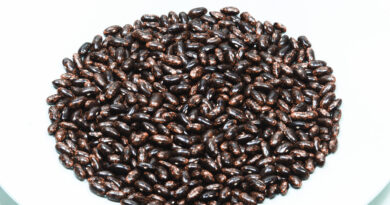 »Turški fižol«, »Tetovac«, ali katero izmed tradicionalnih slovenskih pisanih sort nizkega fižola