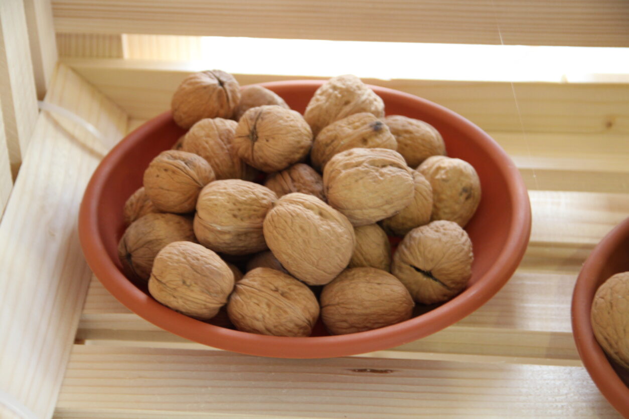 Zdole - Druga domača sorta oreha, ki izvira iz Posavja