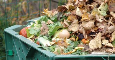 esenski kompostni kup, prekrit s plastjo listja in zemlje