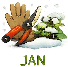 januar koledar vrtnih opravil po mesecih