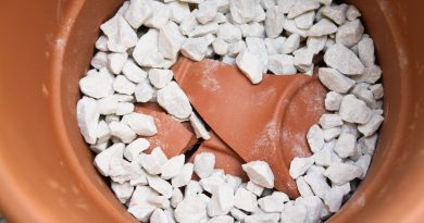 Drenažni sloj iz črepinje in kamenja na dnu keramične posode