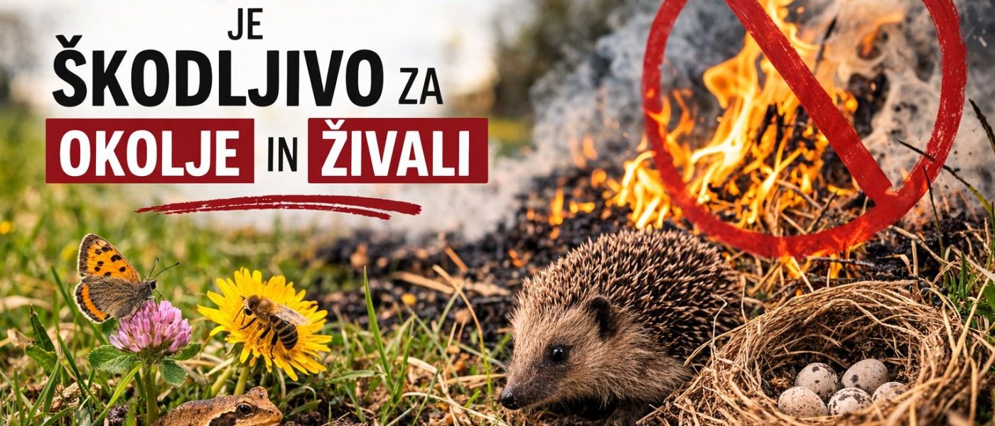 Kurjenje travnikov je škodljivo za okolje in živali
