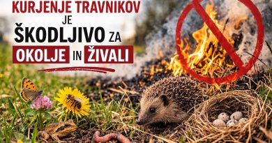 Kurjenje travnikov je škodljivo za okolje in živali