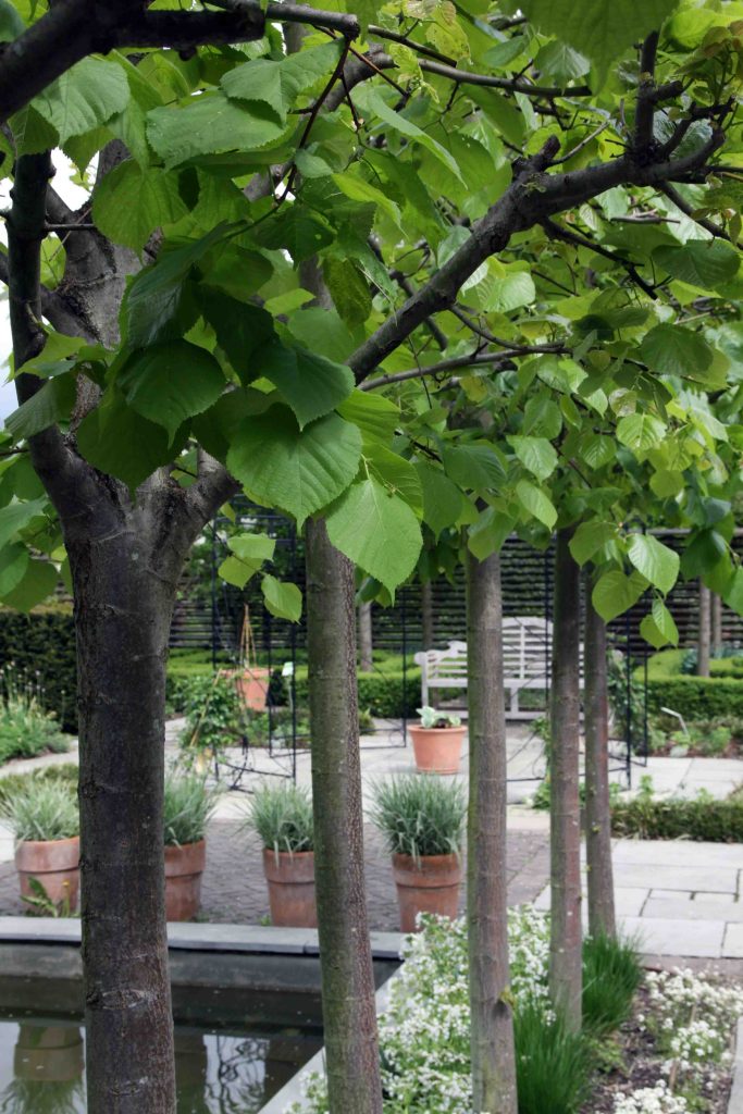 Pogled na angleški del vrtov