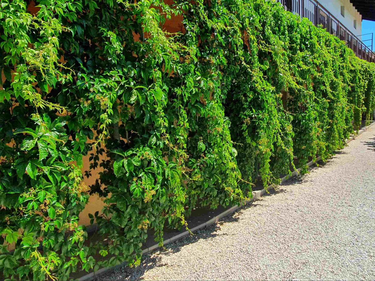 Pogled na celotno dolžino pročelja spodnjega dela hiše