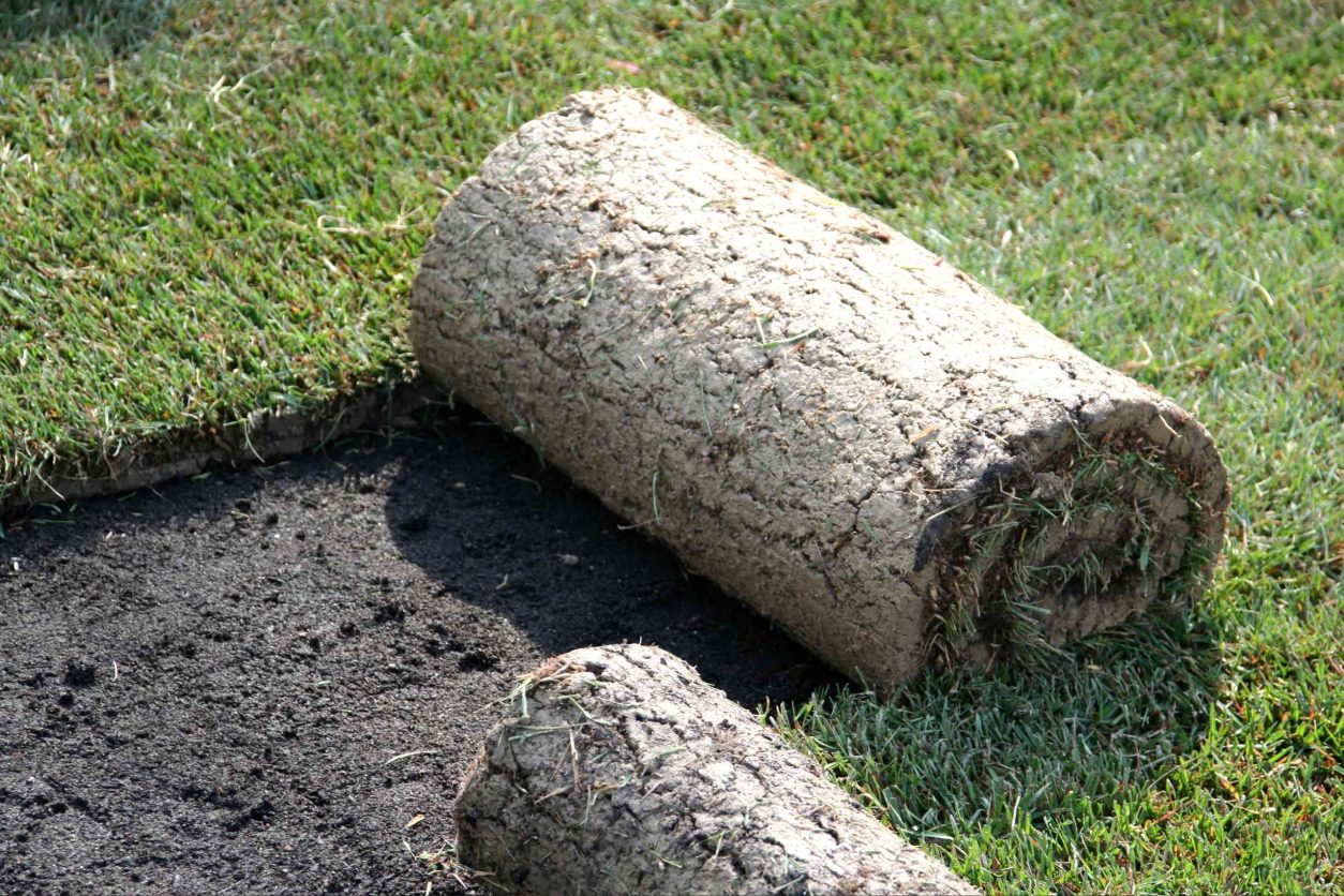 Polaganje travne ruše iz role omogoča hiter nastanek enakomerne zelene površine