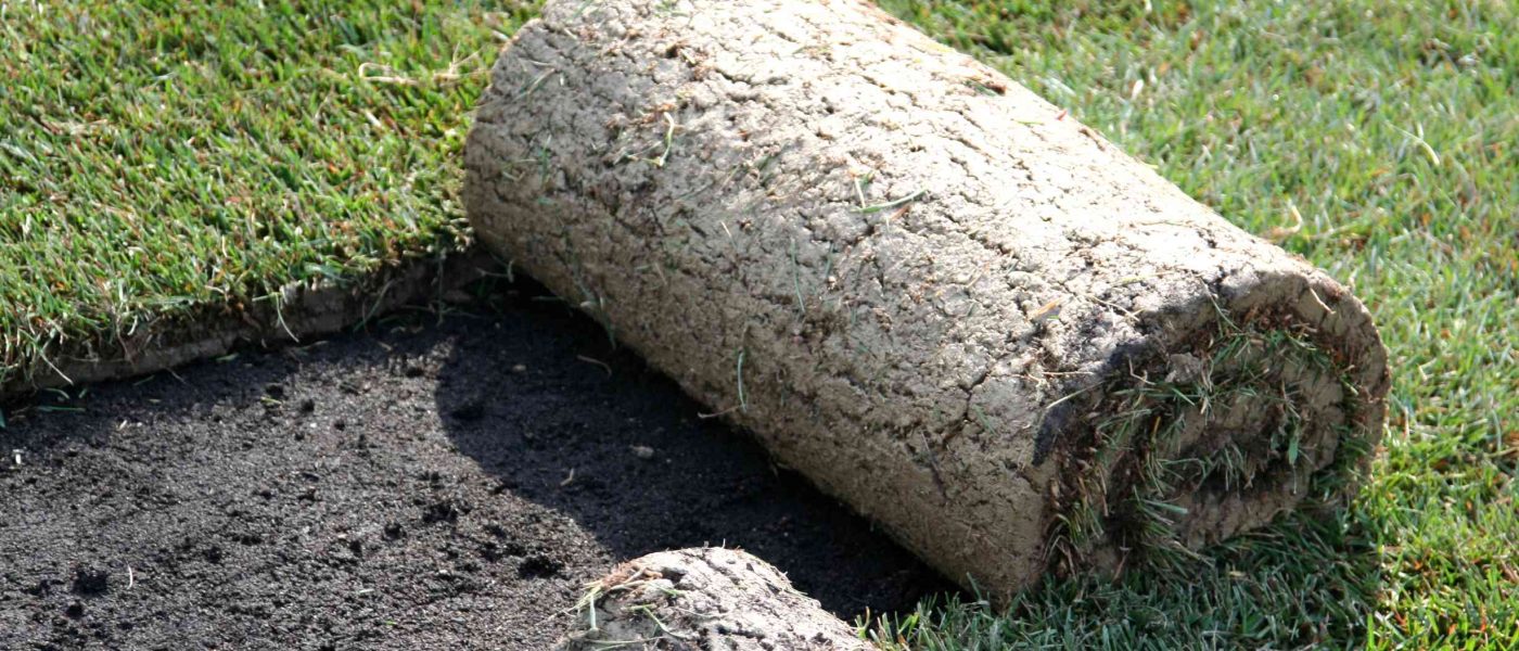 Polaganje travne ruše iz role omogoča hiter nastanek enakomerne zelene površine