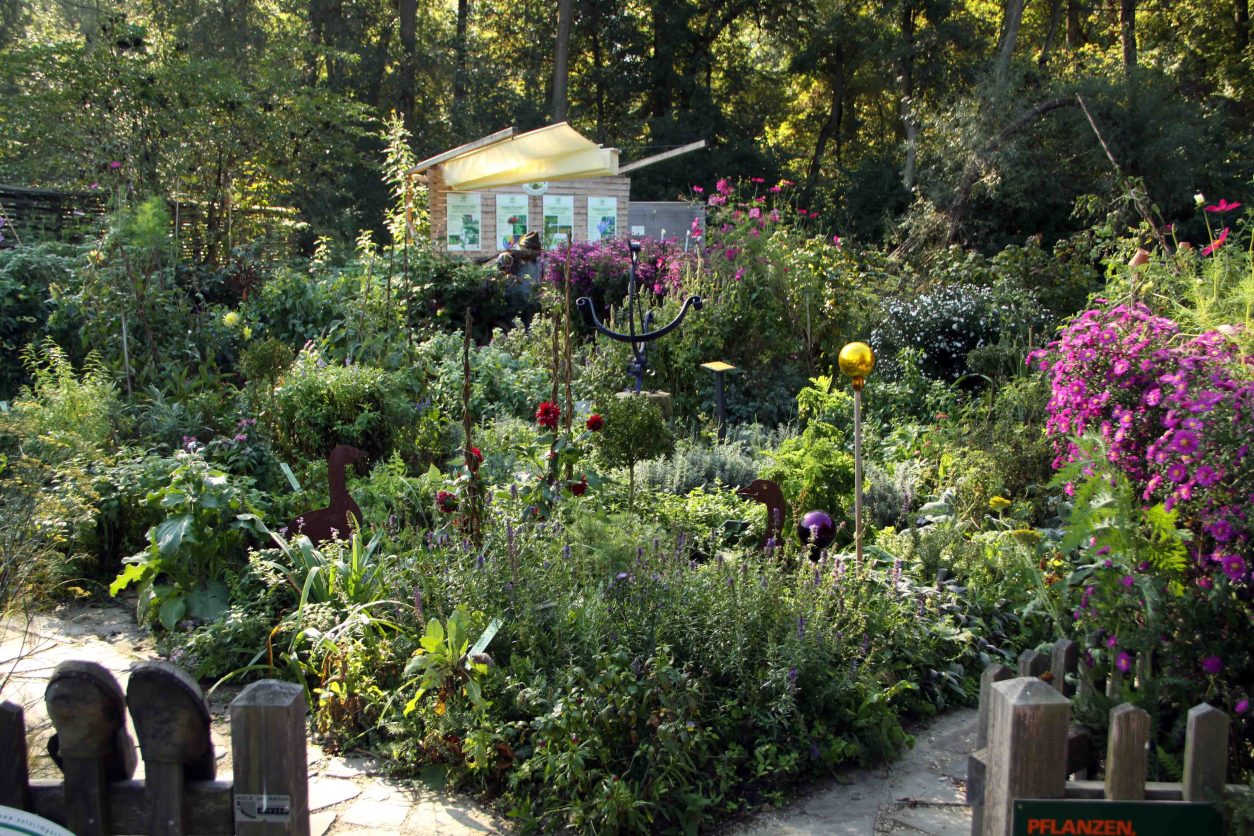 Raziskovalni vrt z mešanimi posevki