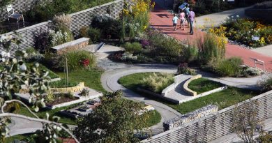 Razstavni vrtovi v Tullnu združujejo različne sloge zasaditev