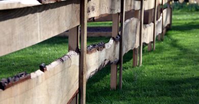 Rustikalna vrtna ograja iz desk z naravnim robom lesa