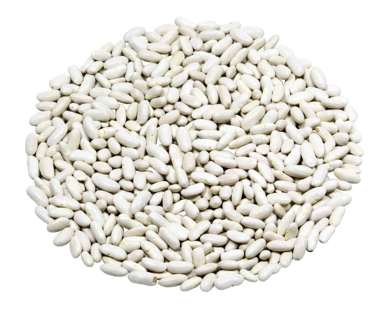 Fižol beli (Phaseolus)