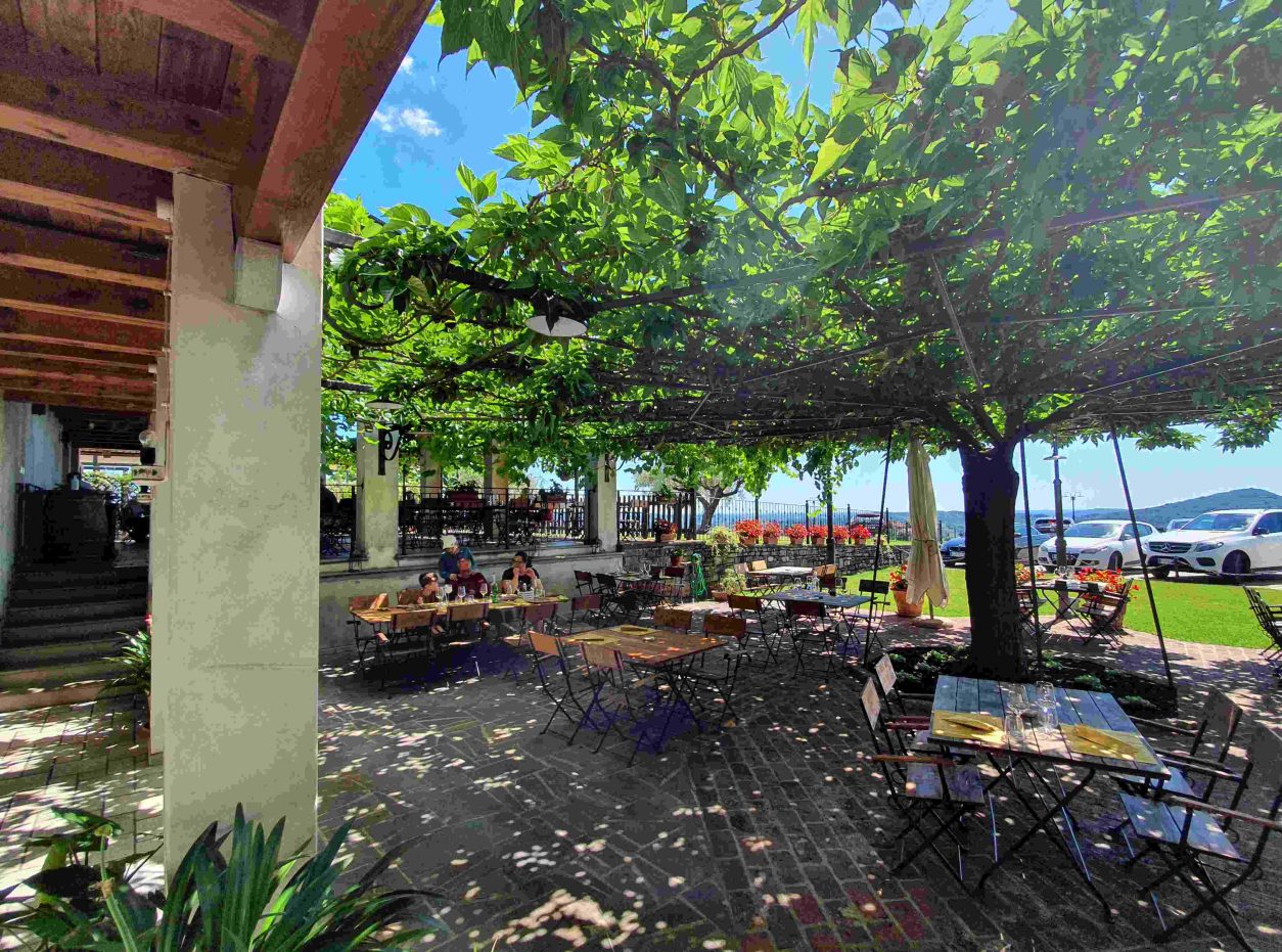 Velika površina terase, ki jo senči le eno drevo črne murve