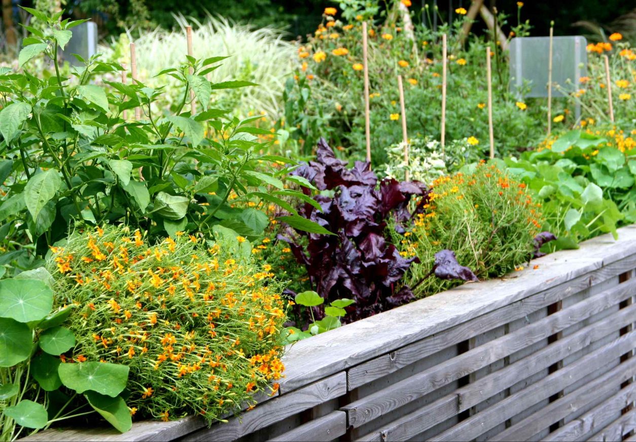 Visoke grede veljajo za urejeno in nadzorovano obliko vrtnarjenja