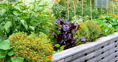 Visoke grede veljajo za urejeno in nadzorovano obliko vrtnarjenja