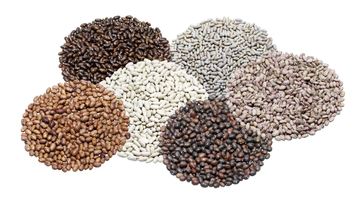 semena različnih sort fižola, med njimi Top Crop, Češnjevec, Klemen in druge priljubljene sorte