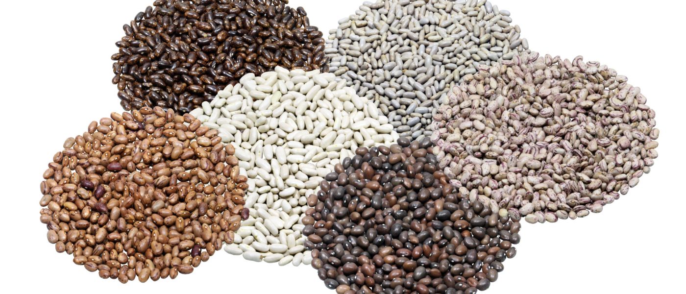 semena različnih sort fižola, med njimi Top Crop, Češnjevec, Klemen in druge priljubljene sorte