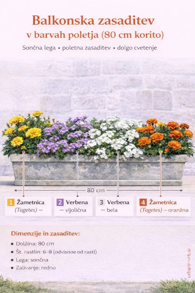 Poletna balkon zasaditev z cvetlicami