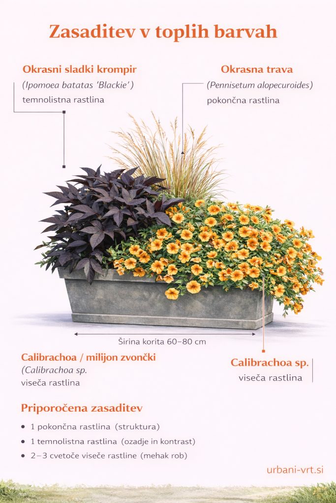 Zasaditev v toplih barvah