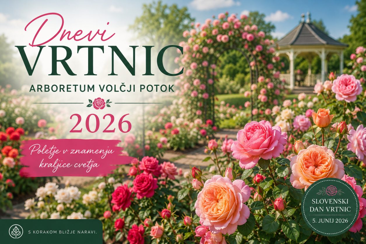Poletje v znamenju kraljice cvetja - arboretum Volčji potok
