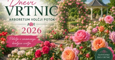 Poletje v znamenju kraljice cvetja - arboretum Volčji potok