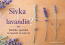 Primerjava prave sivke (Lavandula angustifolia) in lavandina