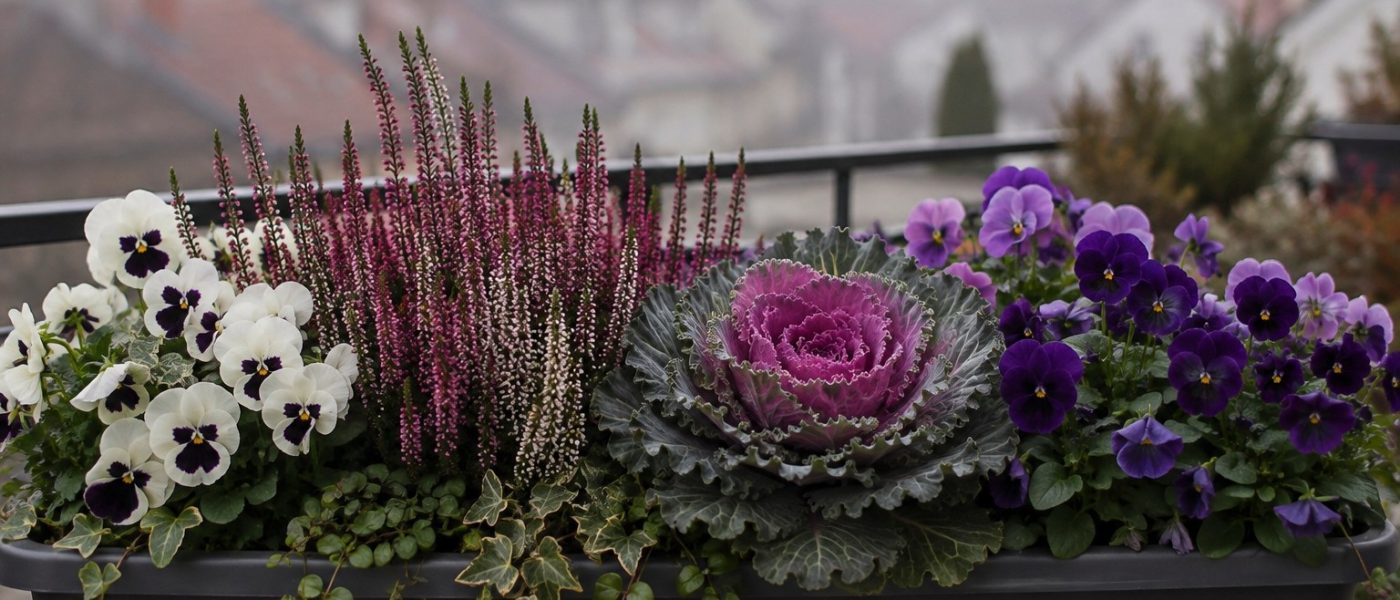 Jesenski balkon z barvitimi cvetlicami