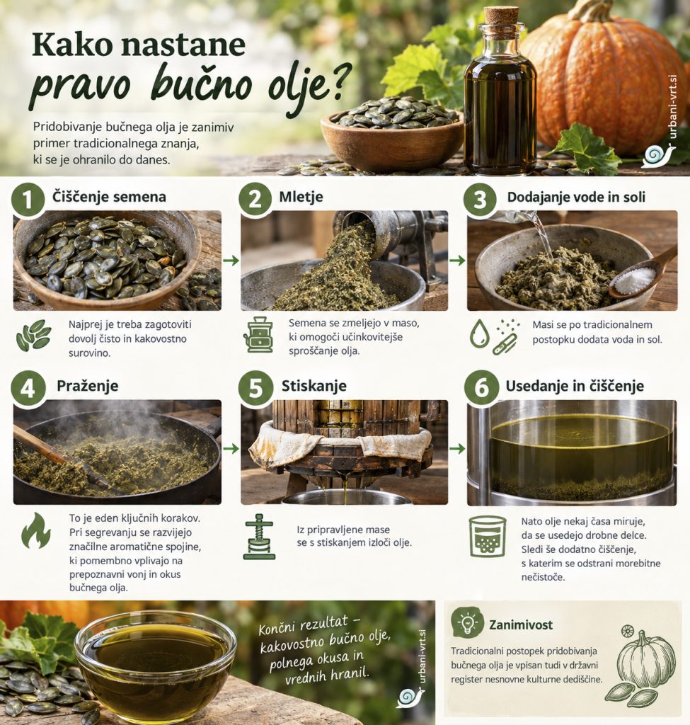 Kako nastane pravo bučno olje